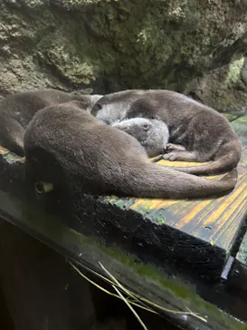 仙台うみの杜水族館に投稿された画像（2026/8/19）