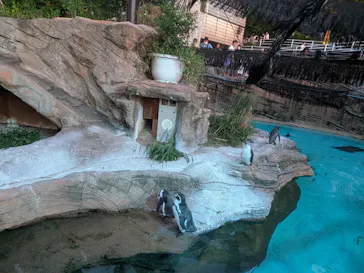 名古屋市東山動植物園に投稿された画像（2026/8/19）