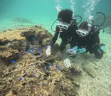 武藤潜水に投稿された画像（2026/8/19）