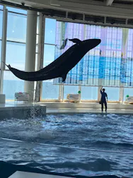 アクアワールド茨城県大洗水族館に投稿された画像（2026/8/19）