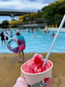 尼崎スポーツの森に投稿された画像（2026/8/19）