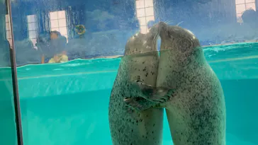 下田海中水族館に投稿された画像（2026/8/19）
