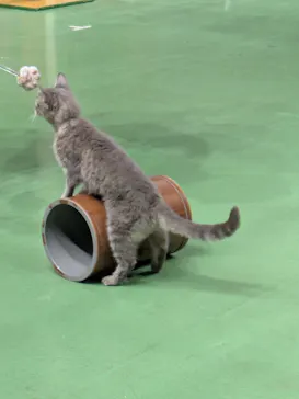 那須どうぶつ王国に投稿された画像（2026/8/19）