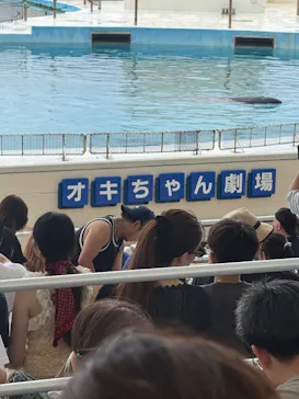 沖縄美ら海水族館に投稿された画像（2026/8/19）