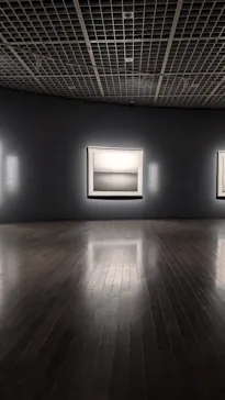 杉本博司　絶滅写真(東京国立近代美術館)に投稿された画像（2026/8/19）