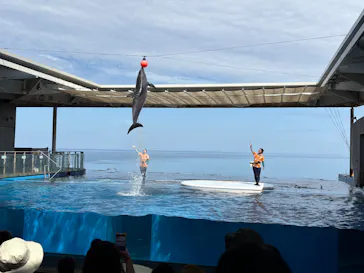 上越市立水族博物館 うみがたりに投稿された画像（2026/8/19）