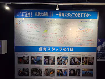 竹島水族館に投稿された画像（2026/8/19）