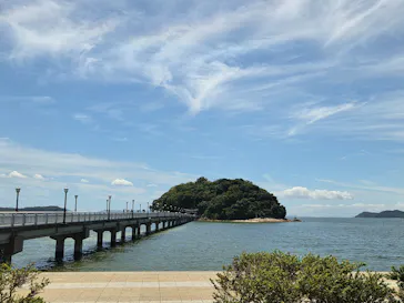 竹島水族館に投稿された画像（2026/8/19）