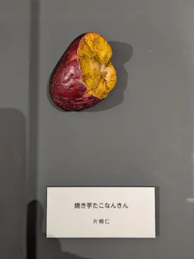 プレバト才能アリ展　芸能人の名作と劇的添削2012‐2026に投稿された画像（2026/8/19）