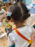 いきもの探検隊上尾に投稿された画像（2026/8/19）