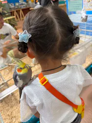 いきもの探検隊上尾に投稿された画像（2026/8/19）