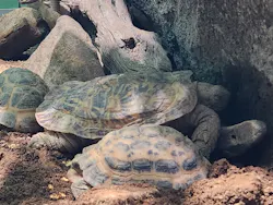 サンシャイン水族館に投稿された画像（2026/8/19）