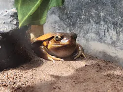 サンシャイン水族館に投稿された画像（2026/8/19）