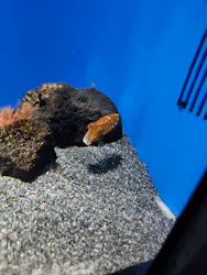 サンシャイン水族館に投稿された画像（2026/8/19）