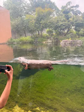 環境水族館アクアマリンふくしまに投稿された画像（2026/8/19）