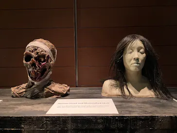 ホラーにふれる展 －映画美術の世界－に投稿された画像（2026/8/19）