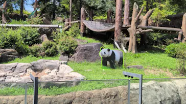 上野動物園 ハシビロカートに投稿された画像（2026/8/19）