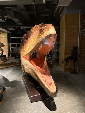 福井県立恐竜博物館に投稿された画像（2026/8/19）