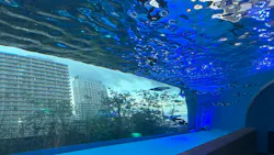 サンシャイン水族館に投稿された画像（2026/8/19）