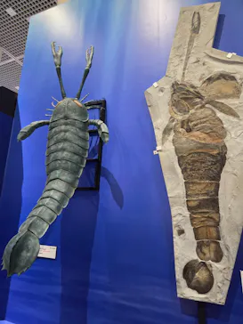 特別展　大絶滅展に投稿された画像（2026/8/19）