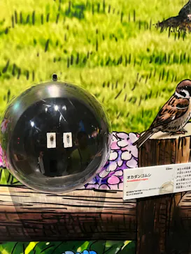 特別展「いきもの超ワールド展　国立科学博物館×ダーウィンが来た！」（国立科学博物館）に投稿された画像（2026/8/19）