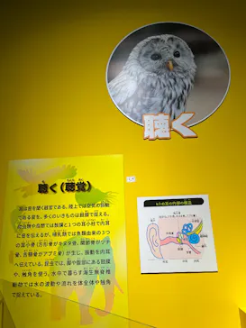 特別展「いきもの超ワールド展　国立科学博物館×ダーウィンが来た！」（国立科学博物館）に投稿された画像（2026/8/19）