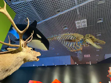 特別展「いきもの超ワールド展　国立科学博物館×ダーウィンが来た！」（国立科学博物館）に投稿された画像（2026/8/19）
