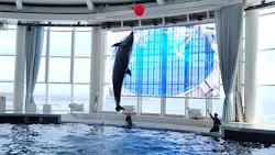 アクアワールド茨城県大洗水族館に投稿された画像（2026/8/19）