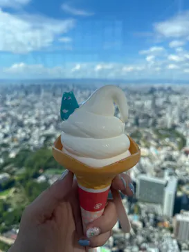 ハルカス300(展望台)に投稿された画像（2026/8/19）