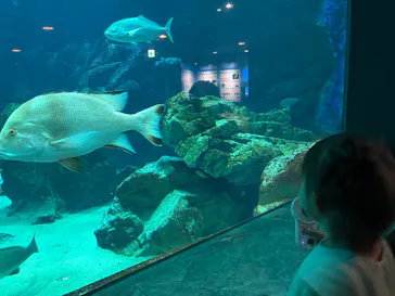 マリンワールド海の中道に投稿された画像（2026/8/19）