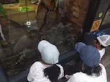 熱川バナナワニ園に投稿された画像（2026/8/19）