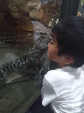 熱川バナナワニ園に投稿された画像（2026/8/19）
