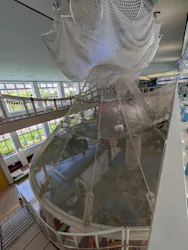京王あそびの森HUGHUGに投稿された画像（2026/8/19）