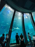 横浜・八景島シーパラダイスに投稿された画像（2026/8/19）