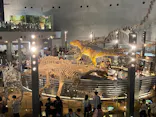 福井県立恐竜博物館に投稿された画像（2026/8/19）
