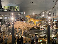 福井県立恐竜博物館に投稿された画像（2026/8/19）