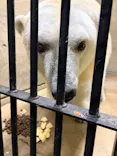 愛媛県立とべ動物園に投稿された画像（2026/8/19）