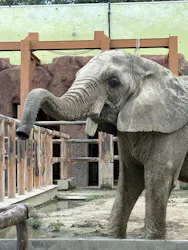 東武動物公園に投稿された画像（2026/8/19）