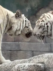 東武動物公園に投稿された画像（2026/8/19）