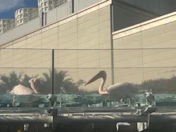サンシャイン水族館に投稿された画像（2026/8/19）