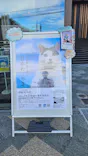 写真展　岩合光昭の「日本ねこ歩き」（愛知会場）に投稿された画像（2026/8/20）