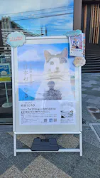 写真展　岩合光昭の「日本ねこ歩き」（愛知会場）に投稿された画像（2026/8/19）