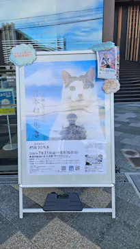 写真展　岩合光昭の「日本ねこ歩き」（愛知会場）に投稿された画像（2026/8/19）