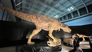 ヨコハマ恐竜展２０２６～恐竜の食卓大図鑑～に投稿された画像（2026/8/19）
