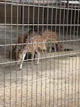 東武動物公園に投稿された画像（2026/8/20）