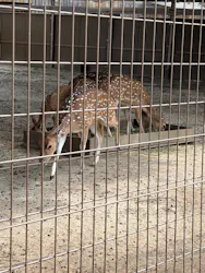 東武動物公園に投稿された画像（2026/8/20）