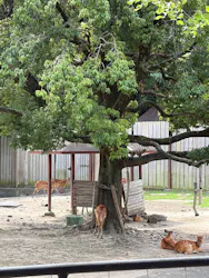 東武動物公園に投稿された画像（2026/8/20）