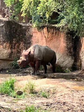天王寺動物園に投稿された画像（2026/8/20）