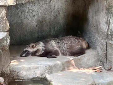 天王寺動物園に投稿された画像（2026/8/20）