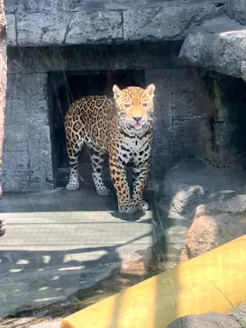 天王寺動物園に投稿された画像（2026/8/20）